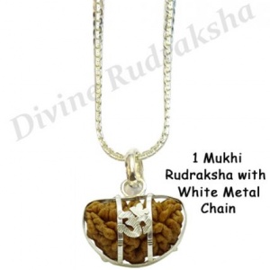 Numeroastro - 1 Mukhi  One Faced Rudraksha Om Brass Pendant